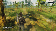 Weird agriculture around this area.