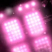 CrazyInLove Cover AlbumBkg.png (58 KB) Album background