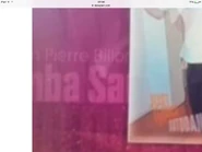 Beta title and artist’s name