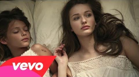 Avicii, Aloe Blacc - Wake Me Up (Official Video)