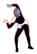 Promotional coach (Silver)