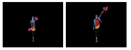 Placeholder pictograms