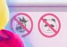 The two prohibition signs referencing the Panda and P3 of In the Summertime