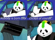 Nobody Is Born Cool meme