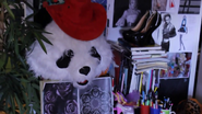A cabeça do panda no estúdio