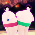 Hips Don't Lie (Sumo Version)