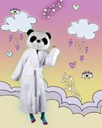 Bathrobe jd2020 teaser instagram