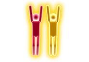 Gold Move 3 (Original)