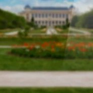 Just Dance 2014 album background