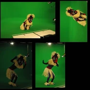 Behind the scenes 2