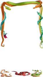 Jd2023 Border Snakes