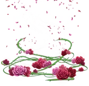 Thumbnail VVFX RosesAndThorns