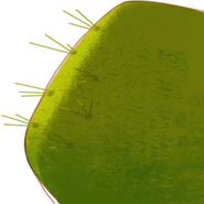 Background element 1