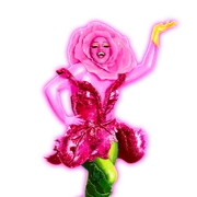 GoodLuckBabeALT Coach 1