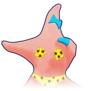 P2’s coach selection image