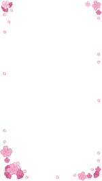 Jd2023 Border Sakura