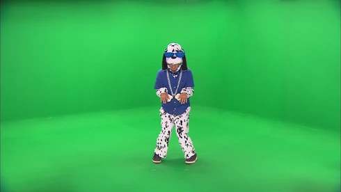 Who Let The Dogs Out