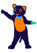 Promotional coach (P1)