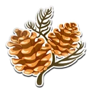 Pine Cone Avatar
