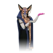 Early half coach (P1)