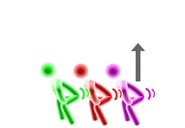 Beta pictogram 7 (the pictograms are more distant from each other and have a shake emblem, and the arrow is placed above P3 rather than next to it)