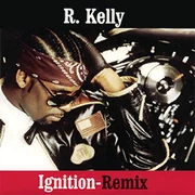 Ignition cover generic