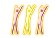 Ikissedosc gm 1.png (108 KB) All Gold Moves (pre-Just Dance+)