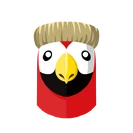 Oie transparentparrotinsta