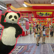 iko iko mardi gras just dance 2