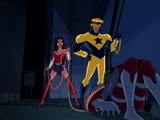 Lasso of Lies
