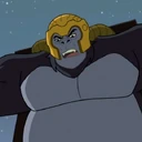GorillaGrodd02