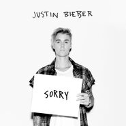 "Sorry" (Purpose)