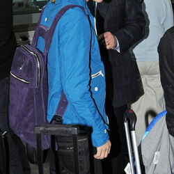Louis stewart backpack on sale