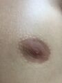 Justin Bieber's nipple