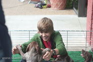 Justin Bieber with puppies 2009