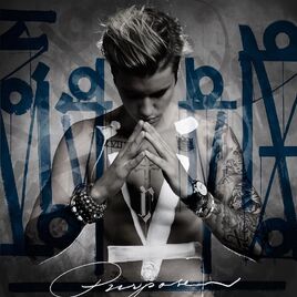 Purpose (Super deluxe)