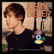 My World gold award Belgium.jpg (154 KB) Gold Award Belgium Awarded in April 2012