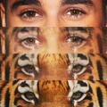 justinbieber "I knew I was a damn tiger" via Instagram
