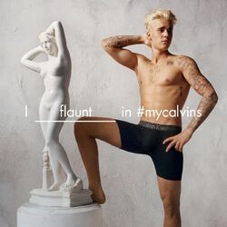Calvin Klein Justin Bieber Wiki Fandom