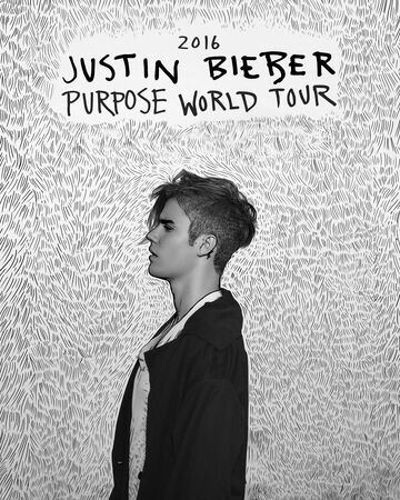 Purpose World Tour Justin Bieber Wiki Fandom