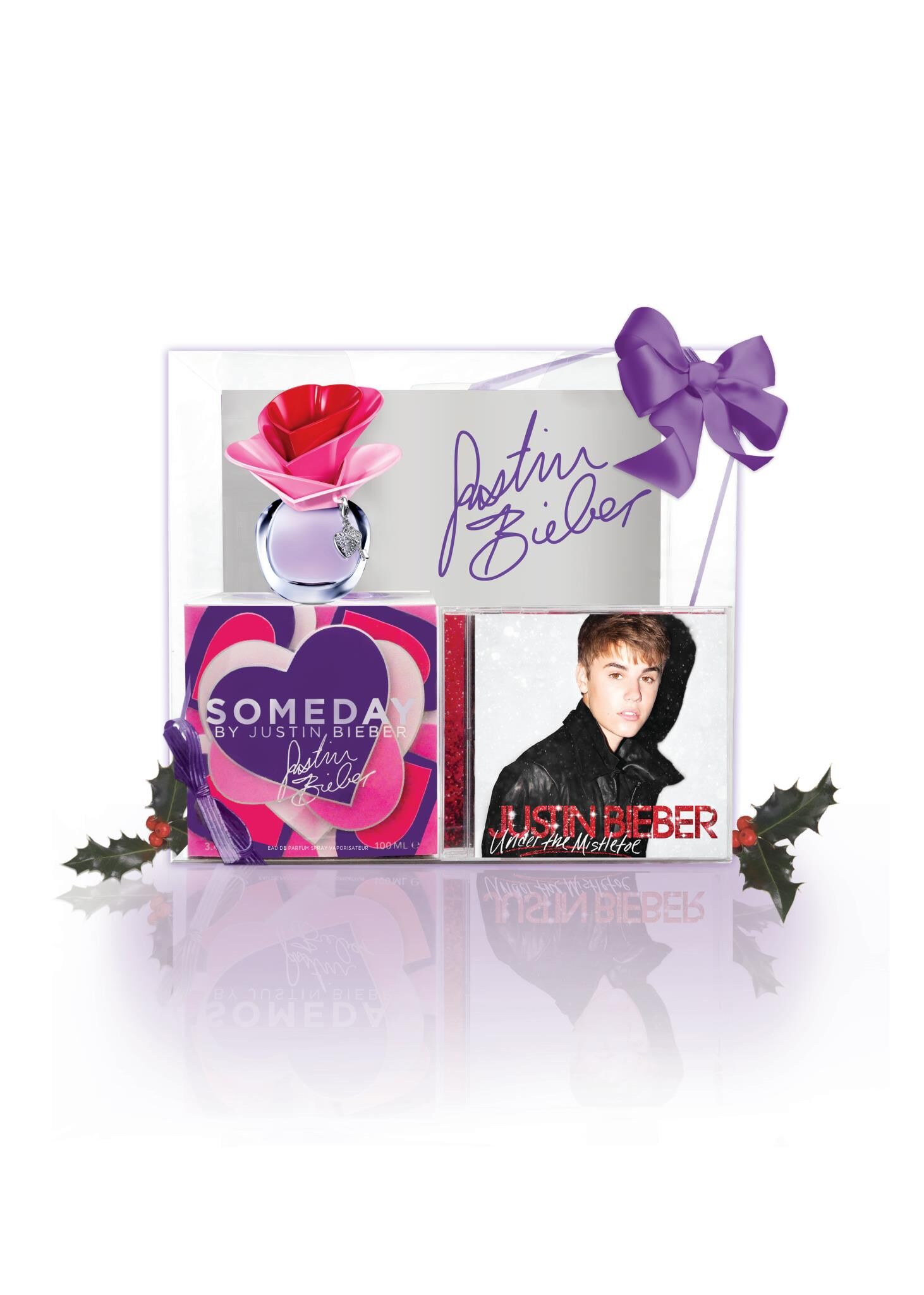 Someday Justin Bieber Wiki Fandom
