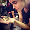 justinbieber "#pacthehamster" via Instagram