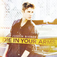 "Die in Your Arms" (Believe)