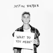 What Do You Mean?