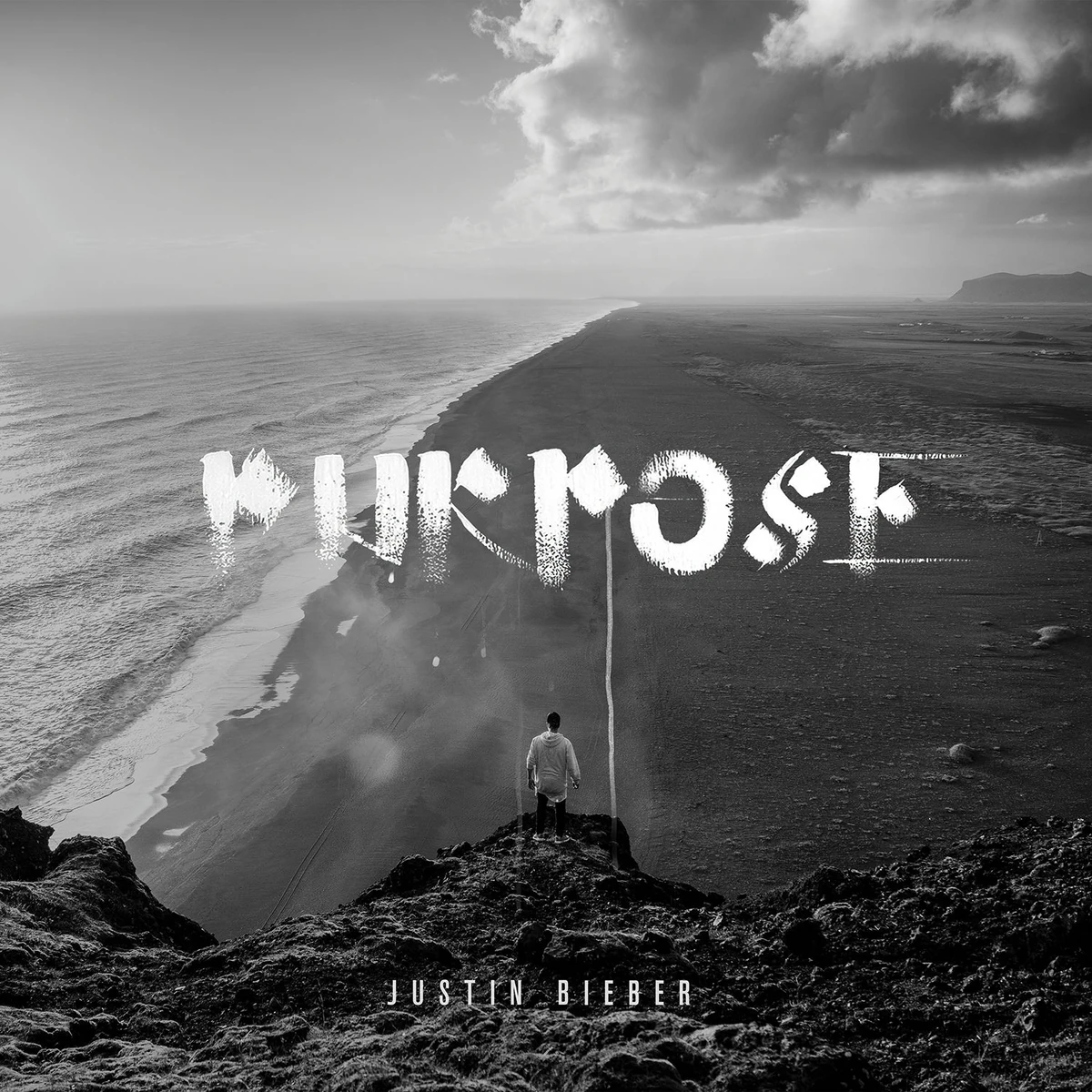 Purpose | Justin Bieber Wiki | Fandom