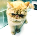 justinbieber "#tuts" via Instagram