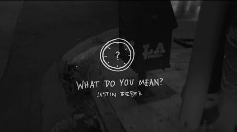 What Do You Mean? - Behind The Scenes