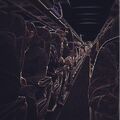 justinbieber "Flight to Germany" via Instagram