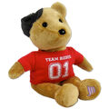 Brown plush bear dressed in "Team Bieber 01" shirt + cap