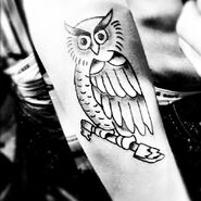 Owl tattoo